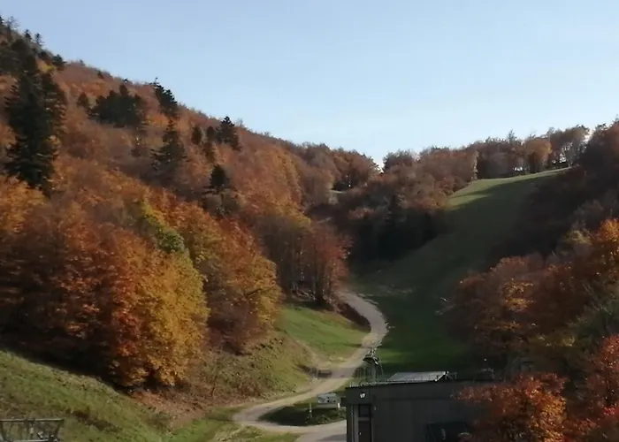 Petit Nid Montagnard