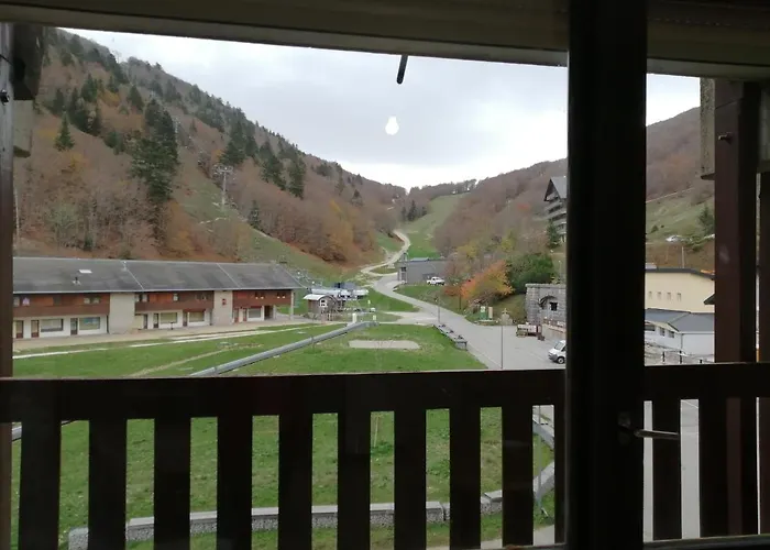 Petit Nid Montagnard