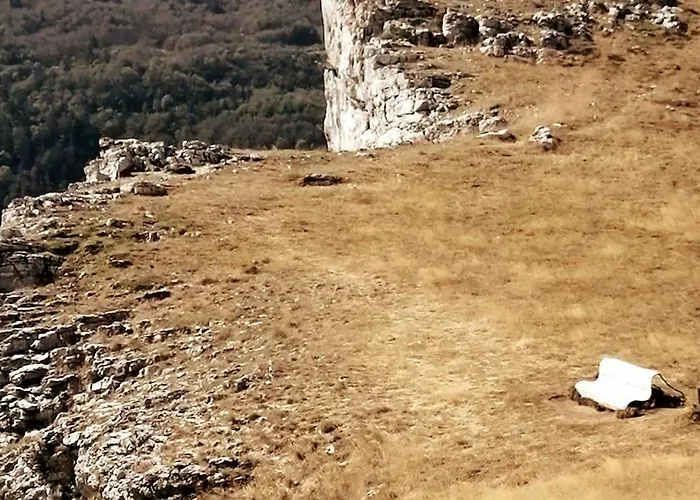 Petit Nid Montagnard