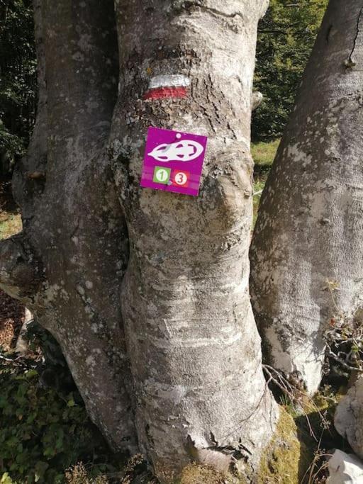 Petit Nid Montagnard * Rousset en Vercors